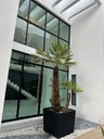 CASA EN VENTA FRACCIONAMIENTO RINCON DE LOS ENCINOS EN SALTILLO