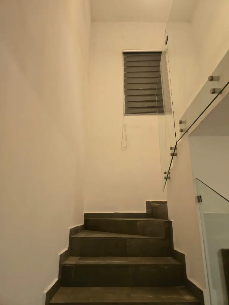 7.webp