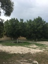 Terreno Grande con Casa En Venta En Arteaga Coahuila En Entrada Principal