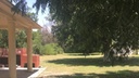 TERRENO EN VENTA EN ARTEAGA CON NOGALES, CASA Y PALAPA